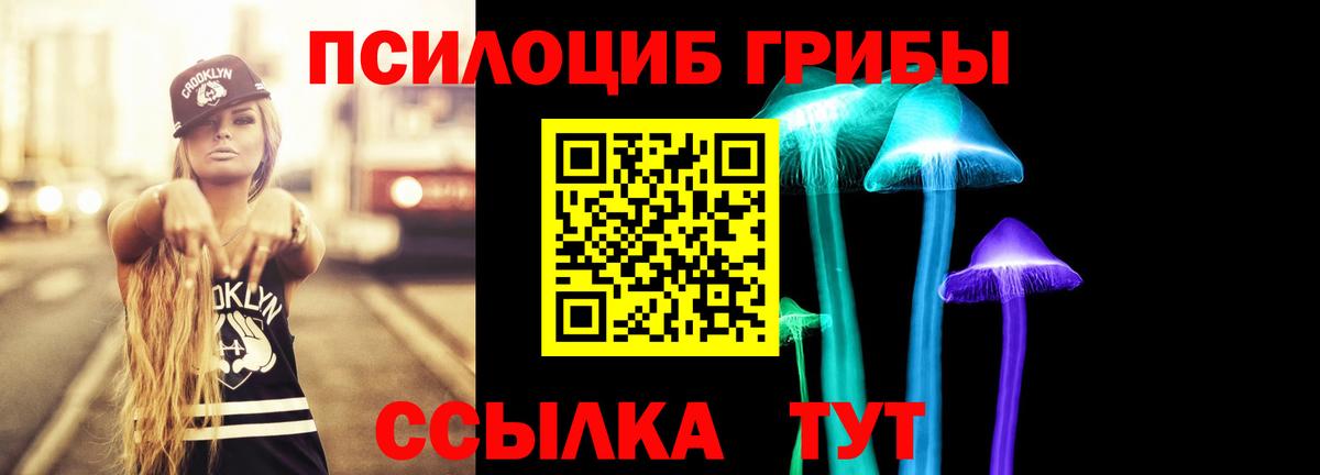что такое наркотик  Псилоцибиновые грибы мицелий  Вход с VPN  Ишим 